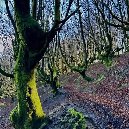 Villa Artegoikoaurdaibai Patrimonio De La Unesco Ibarrangelu