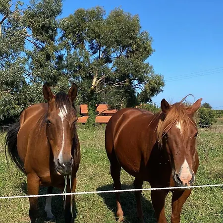 Artegoikoaurdaibai Patrimonio De La Unesco Villa Ibarrangelu