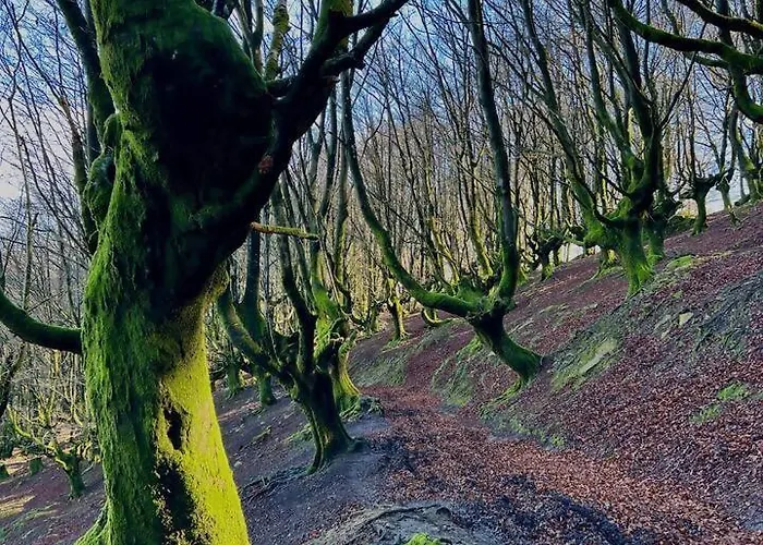 Villa Artegoikoa-urdaibai, Patrimonio De La Unesco Ibarrangelu