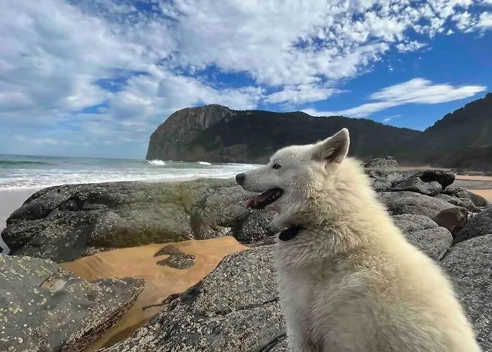 Artegoikoa-urdaibai, Patrimonio De La Unesco Ibarrangelu