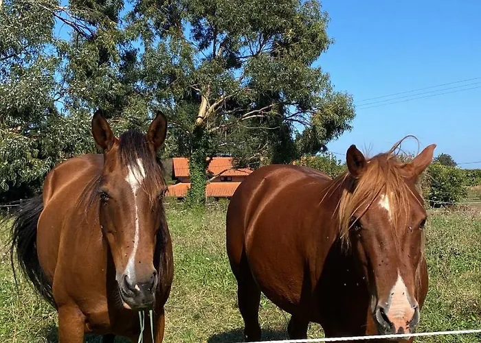 Artegoikoa-urdaibai, Patrimonio De La Unesco Вилла Ибаррангелуа