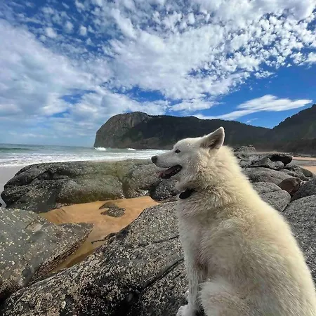 Artegoikoa-urdaibai, Patrimonio De La Unesco 伊巴兰格鲁