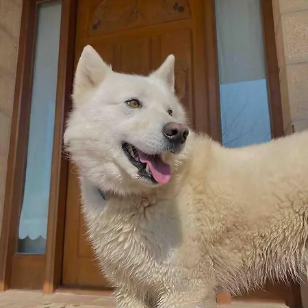 Artegoikoa-urdaibai, Patrimonio De La Unesco