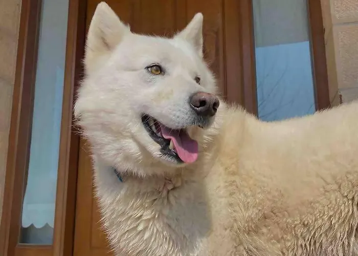 Artegoikoa-urdaibai, Patrimonio De La Unesco